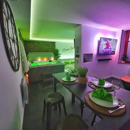 Apartment Cocoon Spa-4 Pers-jacuzzi-parking-jardin-clim-colmar *