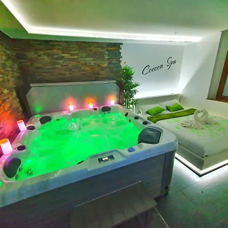 Apartment Cocoon Spa-4 Pers-jacuzzi-parking-jardin-clim-colmar *