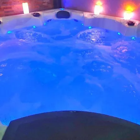 Apartment Cocoon Spa-4 Pers-jacuzzi-parking-jardin-clim-colmar