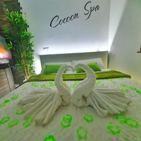 Cocoon Spa-4 Pers-jacuzzi-parking-jardin-clim-colmar Apartament