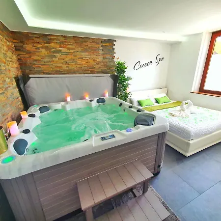 Cocoon Spa-4 Pers-jacuzzi-parking-jardin-clim-colmar Apartament