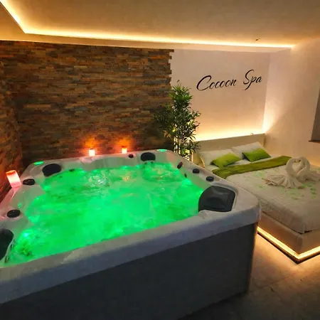 Cocoon Spa-4 Pers-jacuzzi-parking-jardin-clim-colmar Apartament *