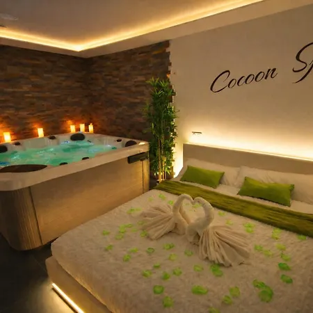 Cocoon Spa-4 Pers-jacuzzi-parking-jardin-clim-colmar Holtzwihr