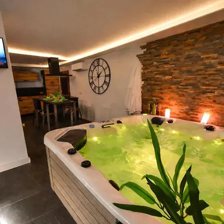 Apartament Cocoon Spa-4 Pers-jacuzzi-parking-jardin-clim-colmar