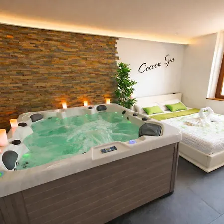 Cocoon Spa-4 Pers-jacuzzi-parking-jardin-clim-colmar
