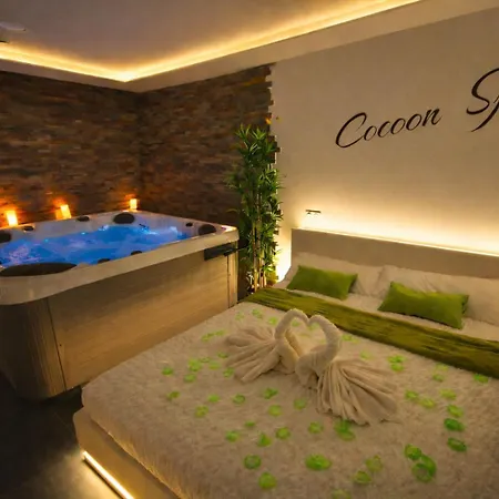 Cocoon Spa-4 Pers-jacuzzi-parking-jardin-clim-colmar * Holtzwihr