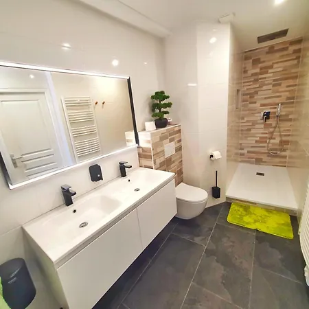 아파트 Cocoon Spa-4 Pers-jacuzzi-parking-jardin-clim-colmar Holtzwihr
