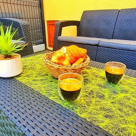 아파트 Cocoon Spa-4 Pers-jacuzzi-parking-jardin-clim-colmar Holtzwihr